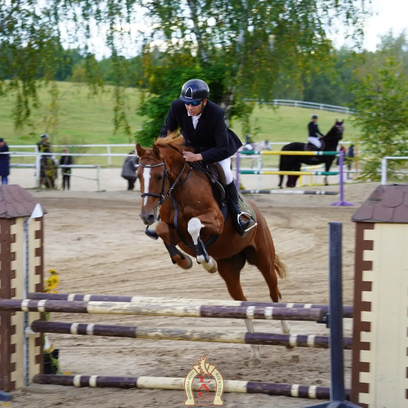 Aleksander Obrycki na debiutującej w zawodach Funny Gold (Finezja/Guido, Goldfever)