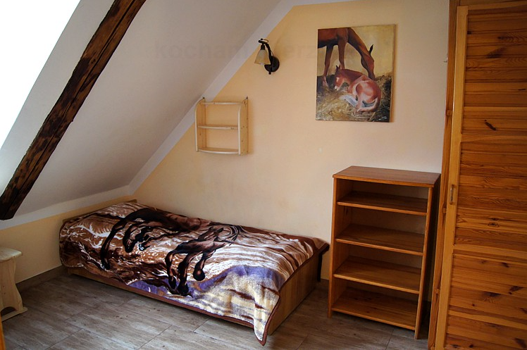 pokój nr 6